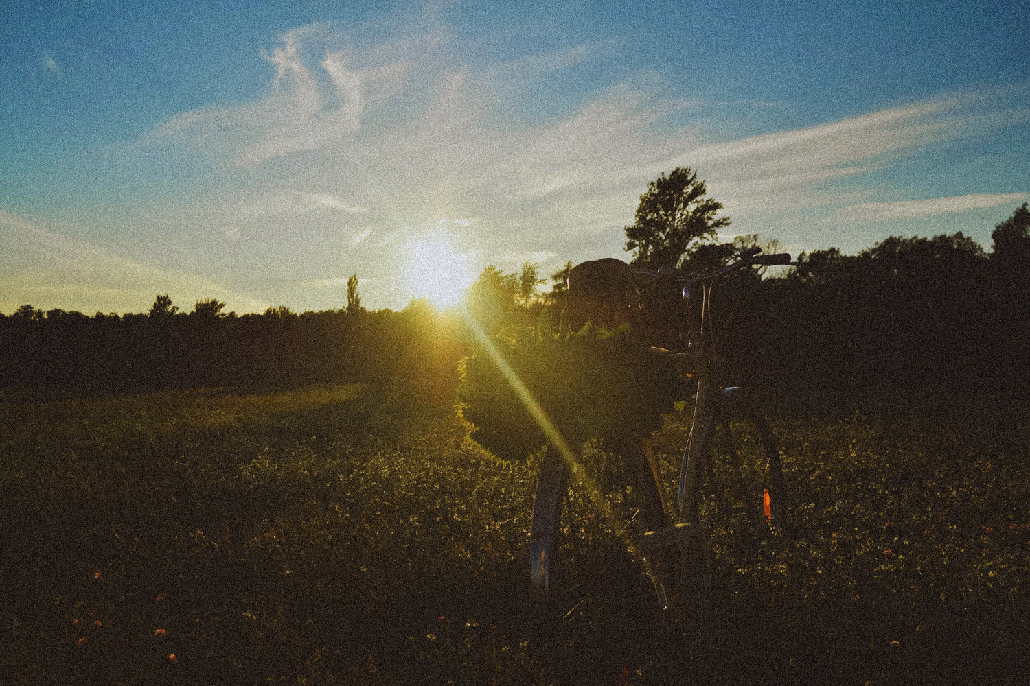 Kesäkirje 25.7.