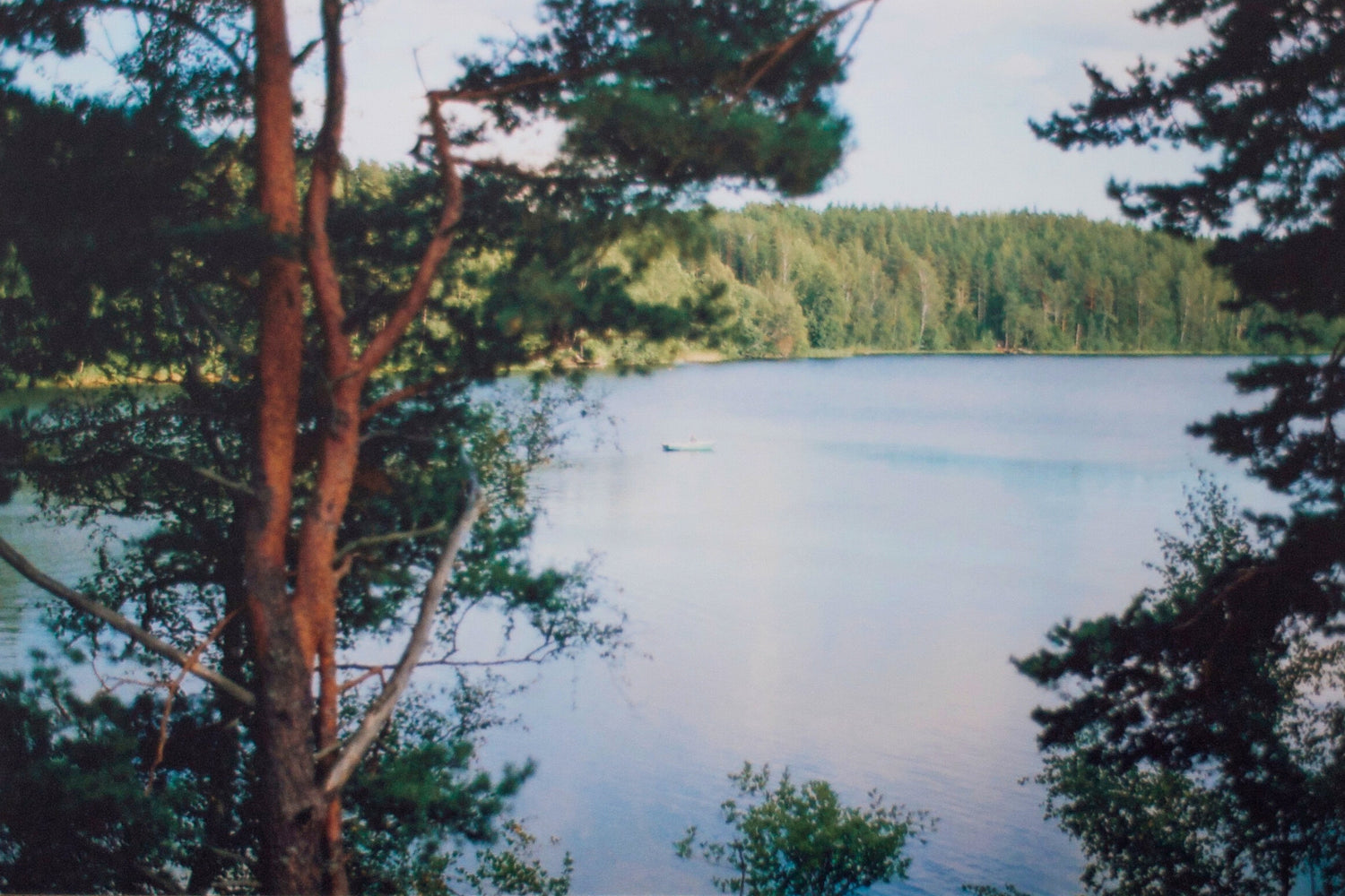 Kesäkirje 8.8.