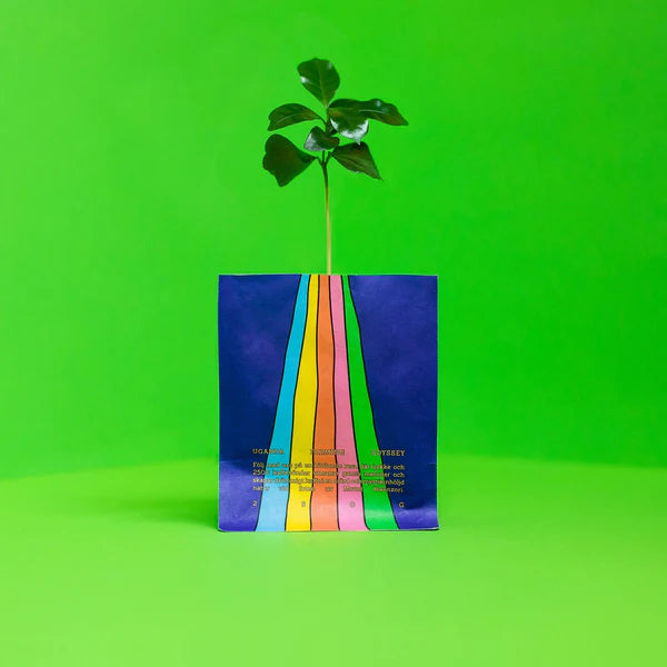UFO 250g kahvipapu