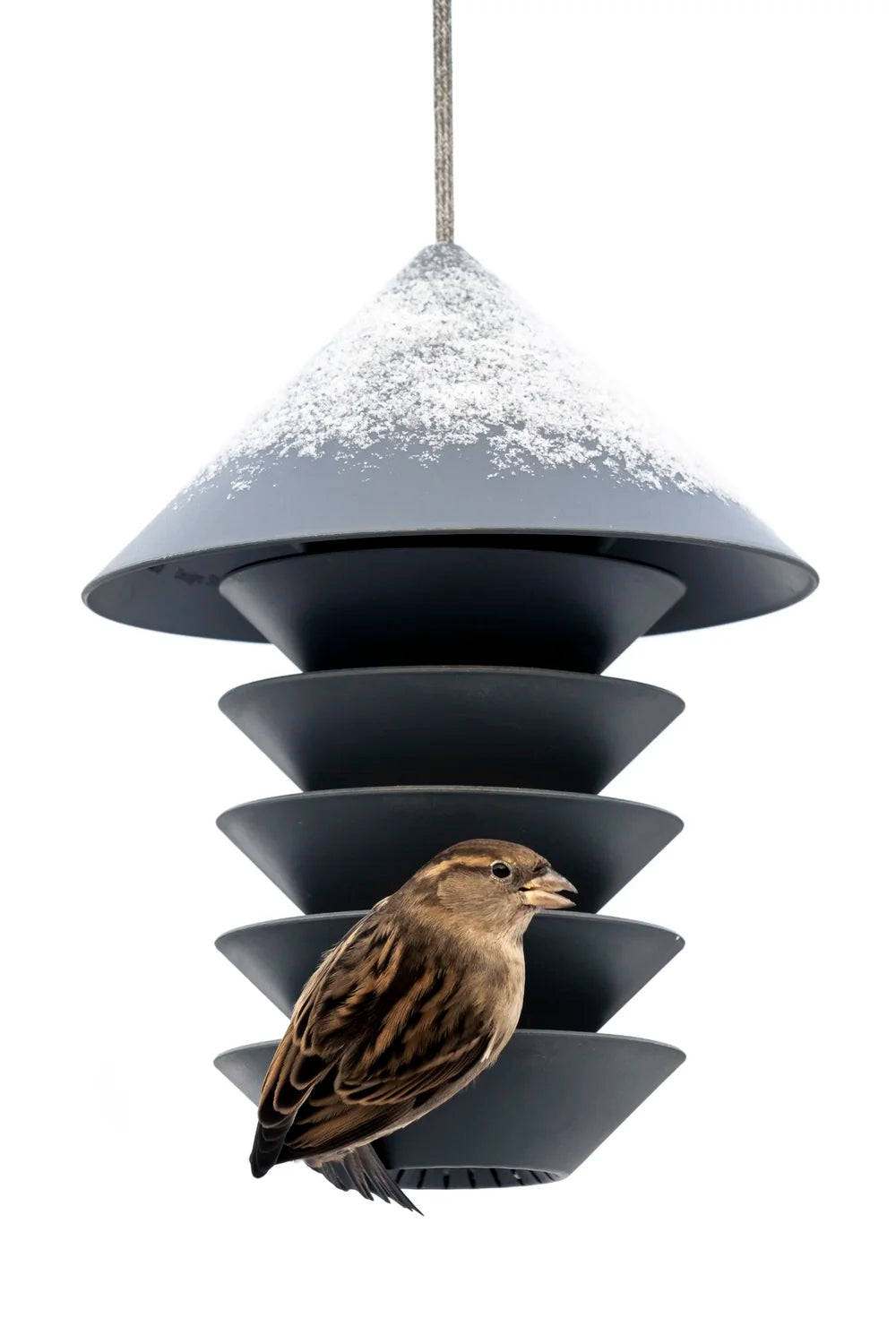 Bird Silo - Slate