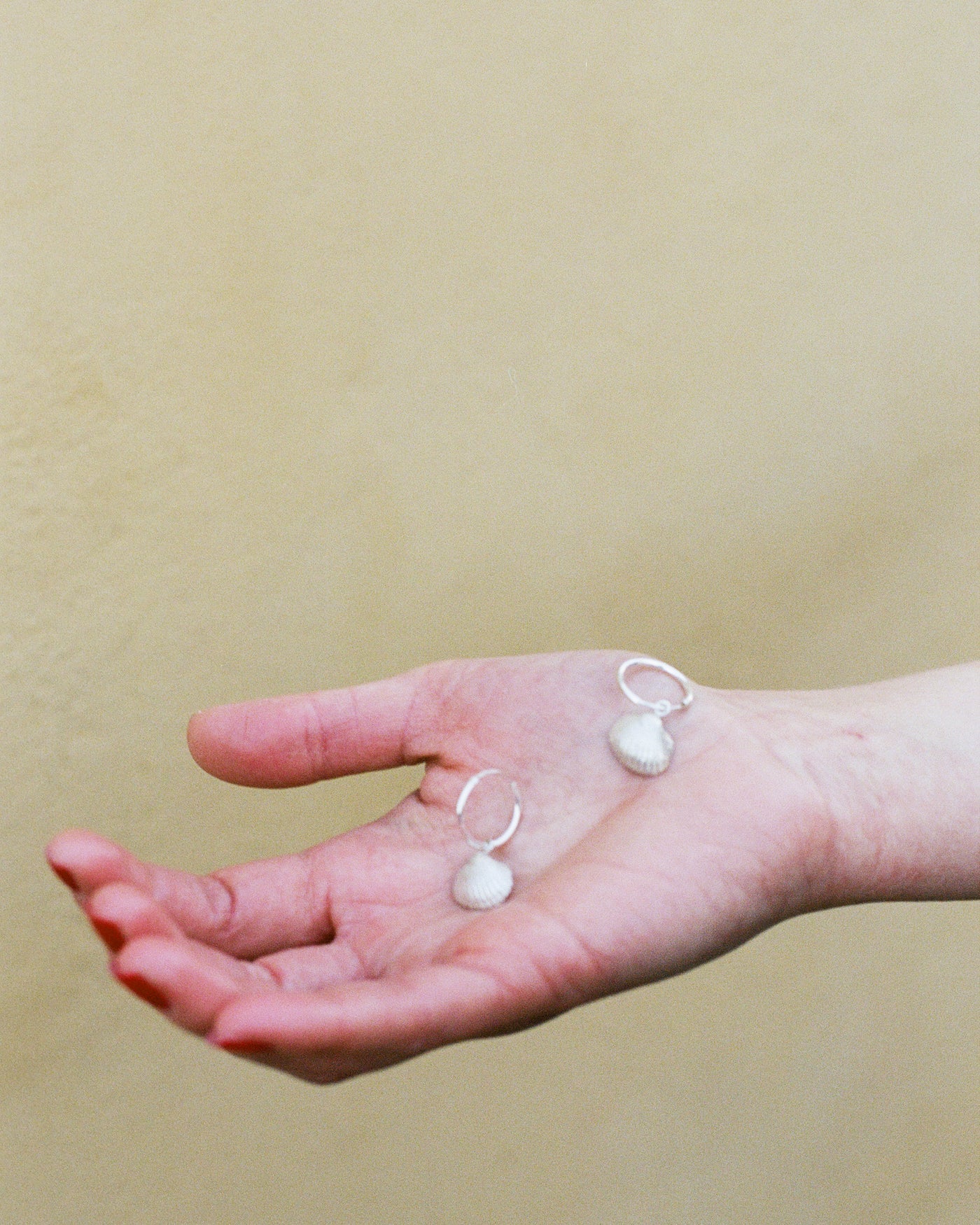 Seashell Hoop Earrings - Silver