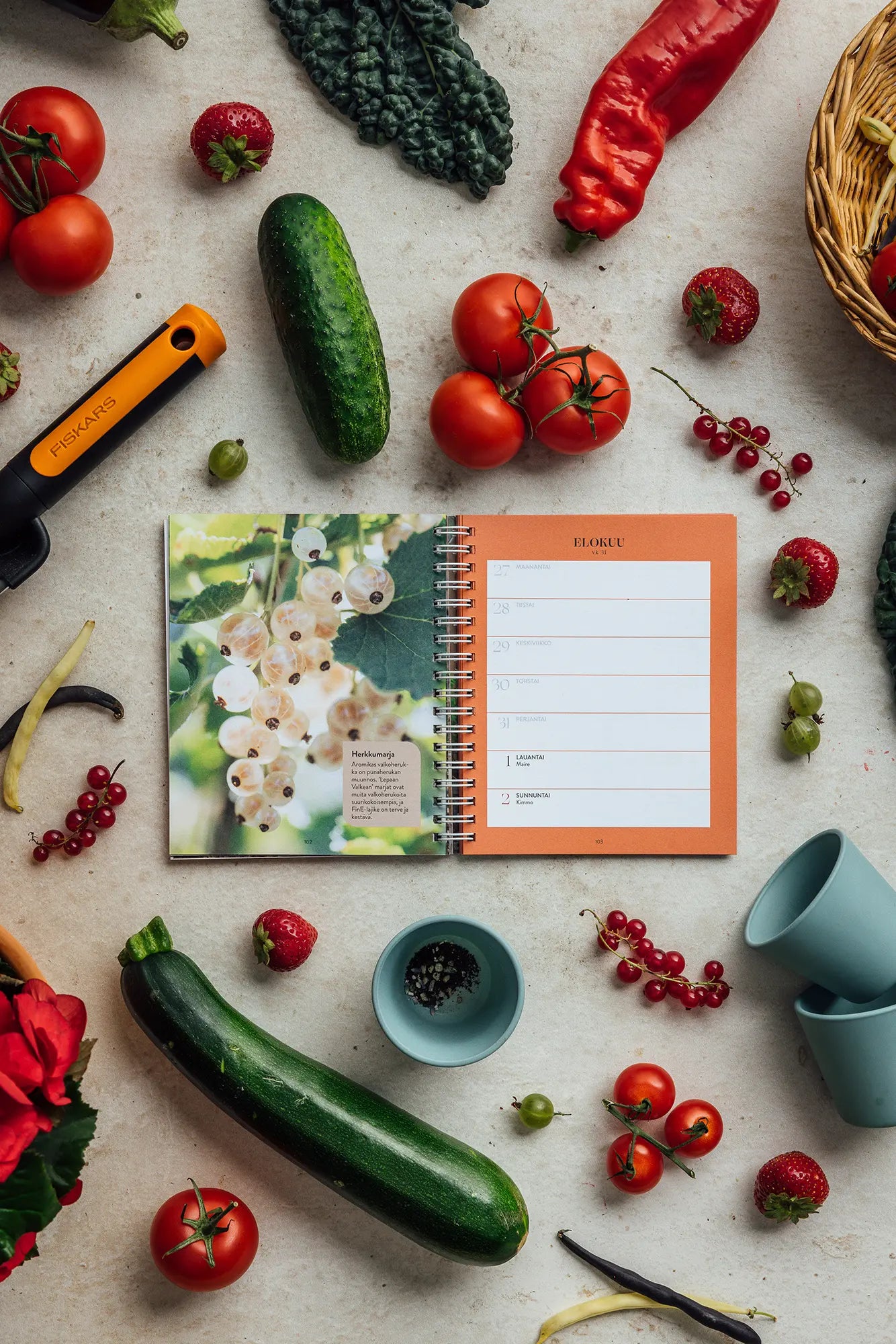 Puutarhakalenteri 2026