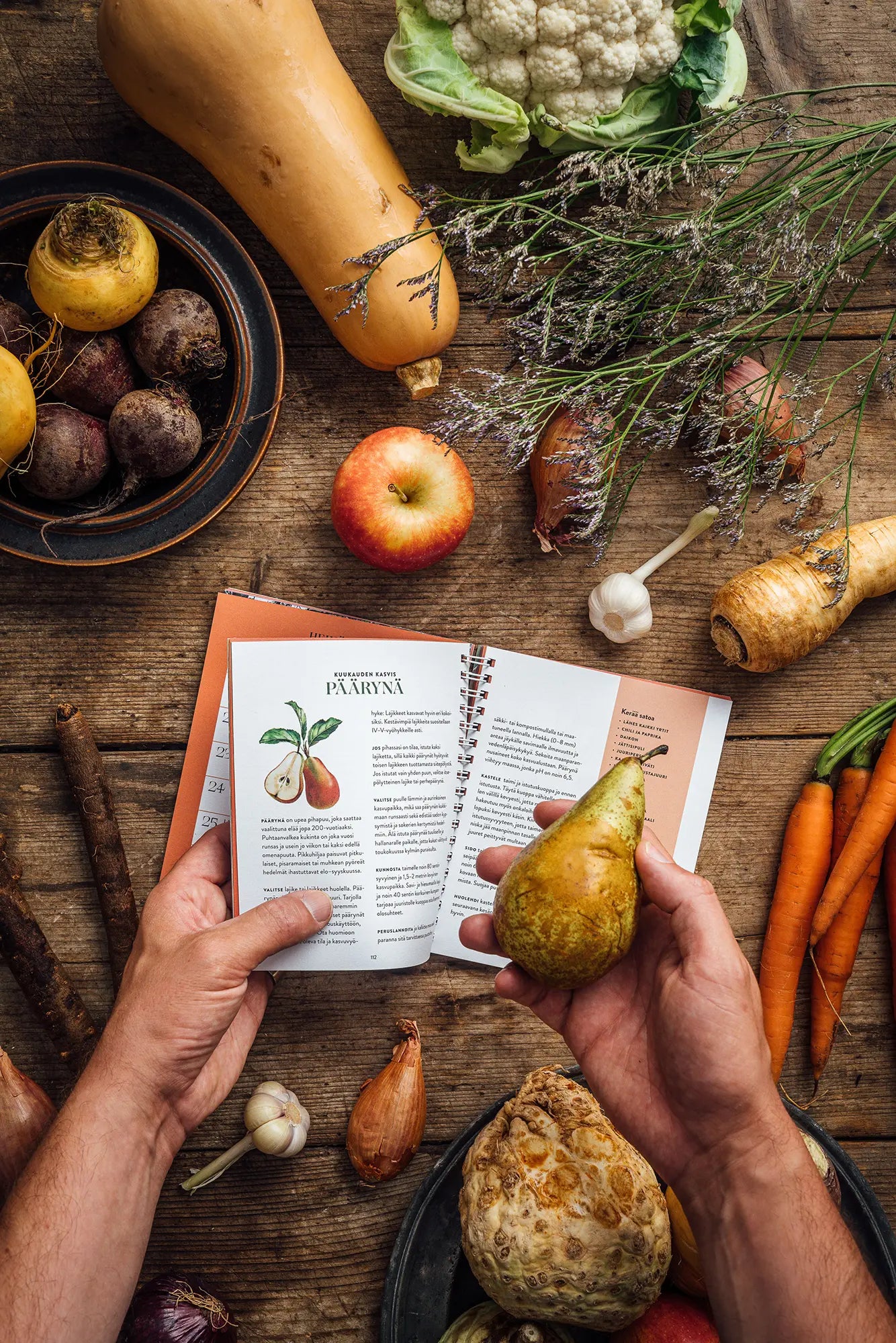 Puutarhakalenteri 2026