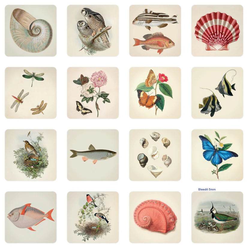 Muistipeli John Nurminen - Luonto