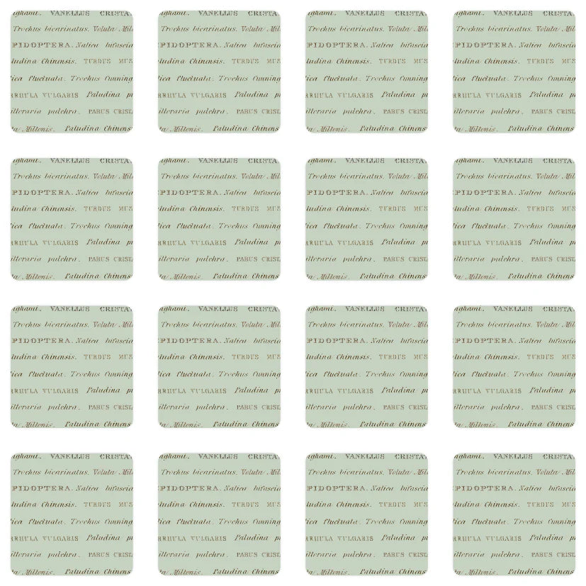 Muistipeli John Nurminen - Luonto