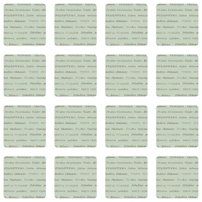 Muistipeli John Nurminen - Luonto