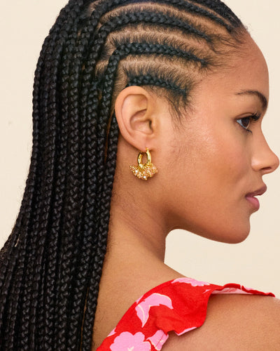 Mini Bisquit Bliss Korvakorut