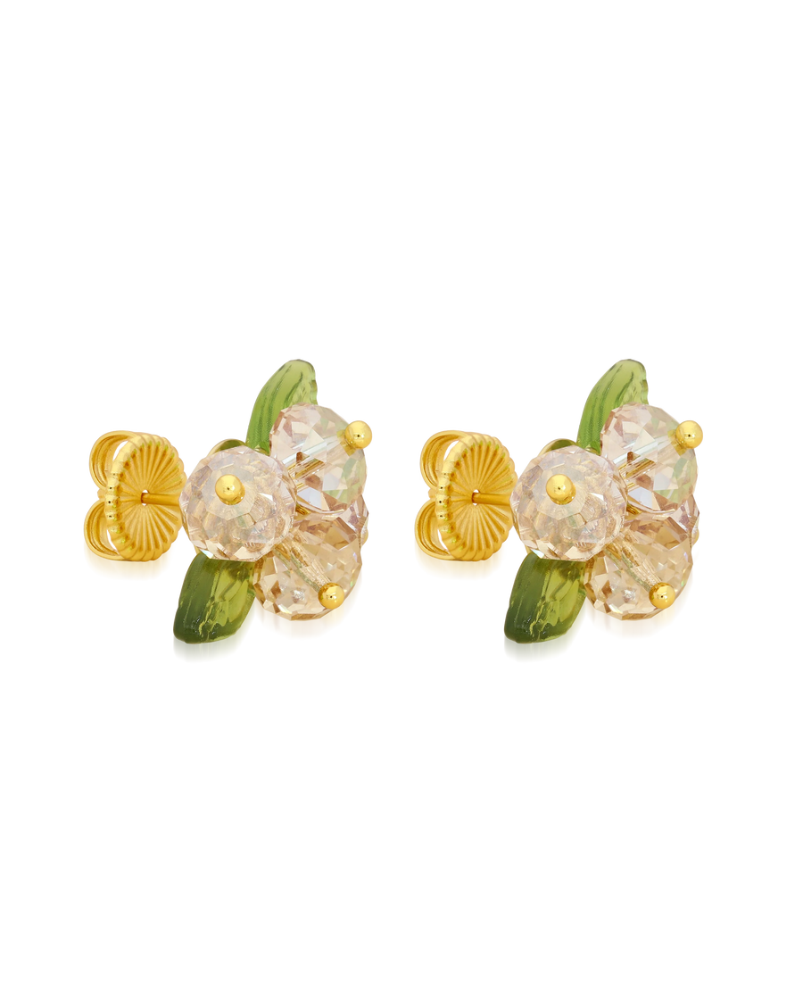 Vanilla Romance Korvakorut