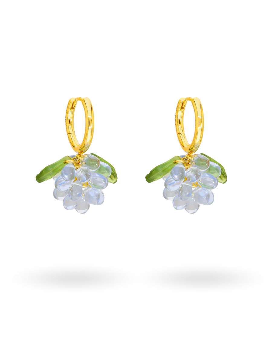 Mini Blueberry Jam Korvakorut