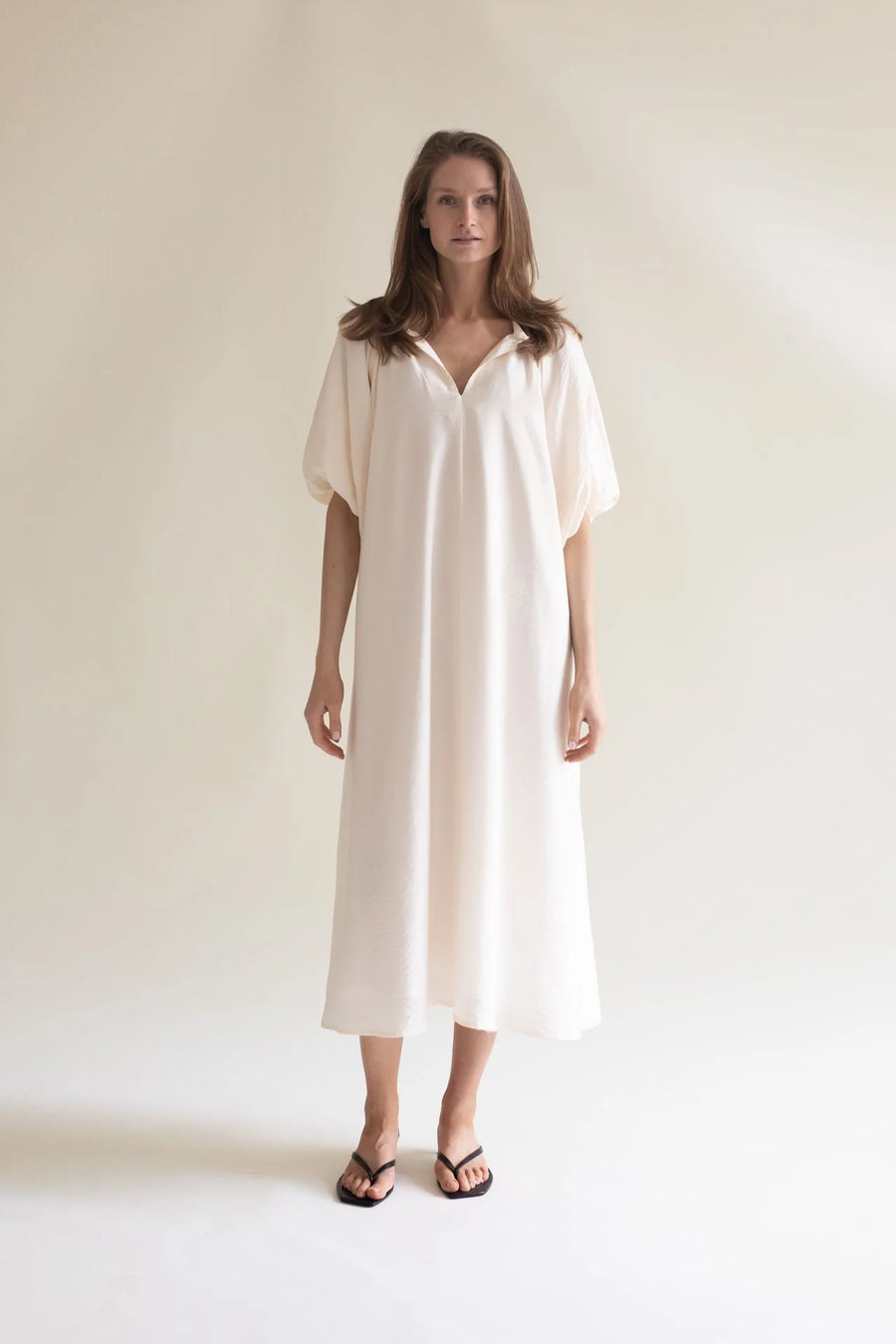 Balloon Sleeve Dress