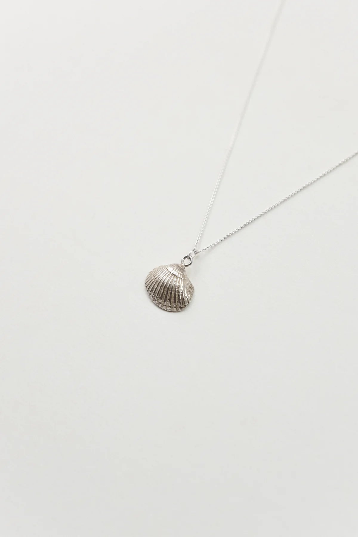 Seashell Necklace - Silver