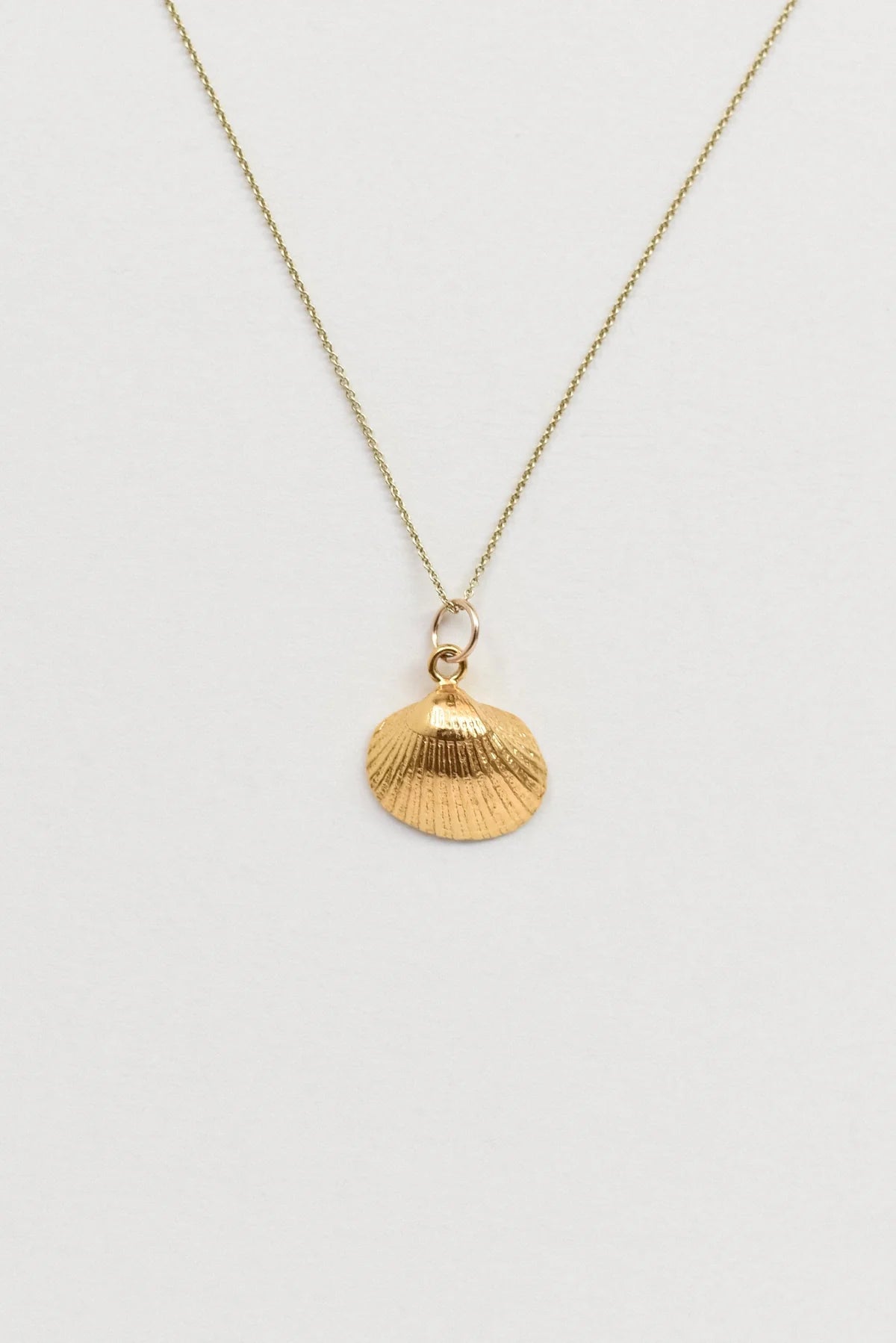 Seashell Necklace - Gold