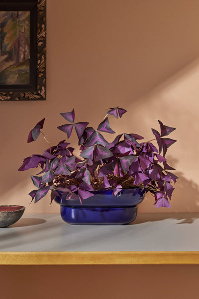 Kukka Flowerpot - Cobalt