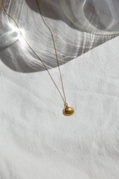Seashell Necklace - Gold