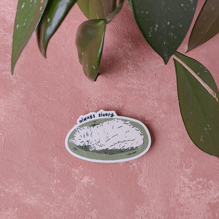 Pikku Paperi Magneetit