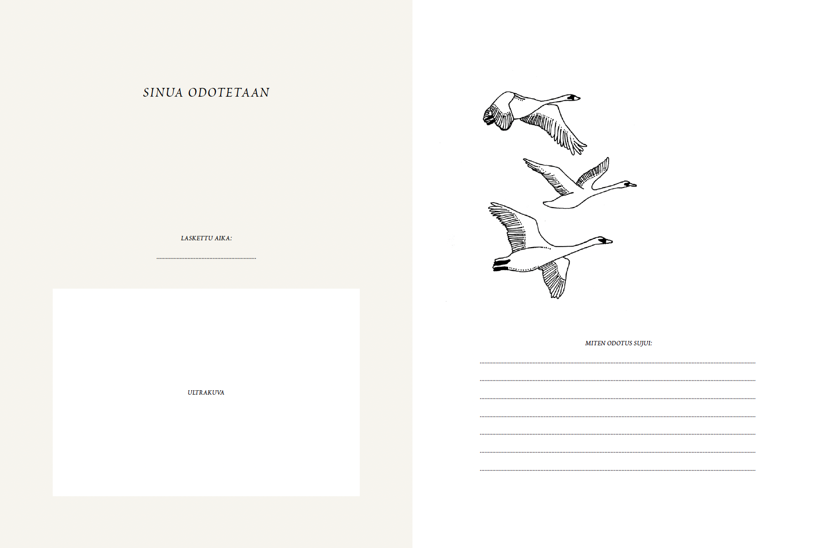 Vauvakirja Saana ja Olli