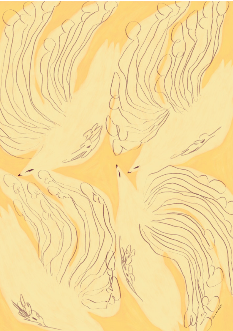 Olivia Leino - Postikortti A6