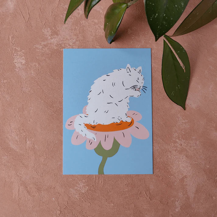 Pikku paperi - Postikortit