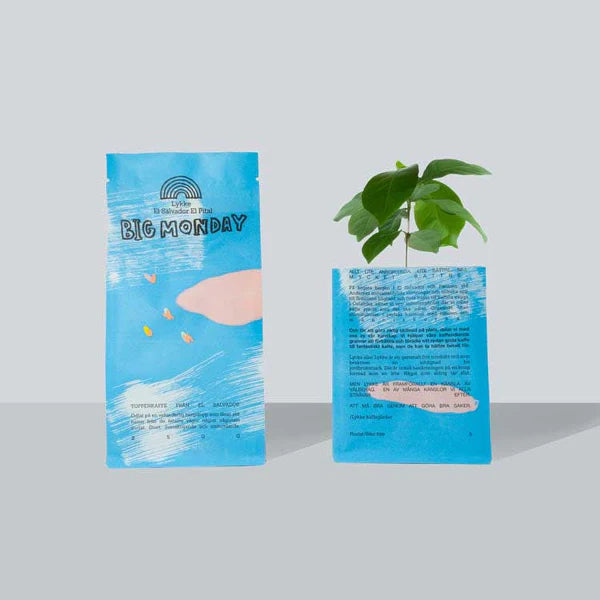 Big Monday 250g kahvipapu