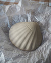 Ceramic Shell Bowl - Beige Small