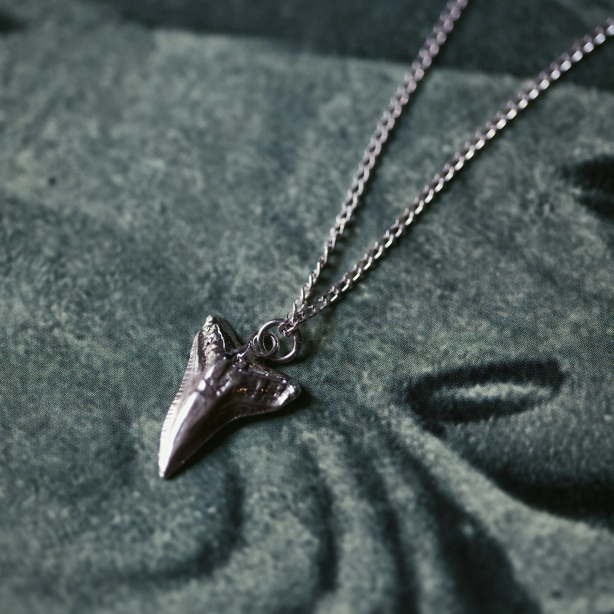 Shark Tooth Pendant